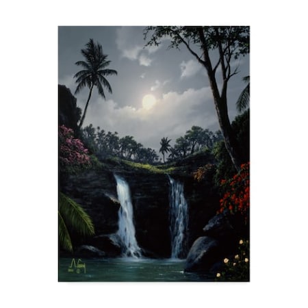 Anthony Casay 'Waterfall 1' Canvas Art,35x47
